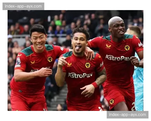 全场结束：狼队2-2谢菲联，两队各取一分